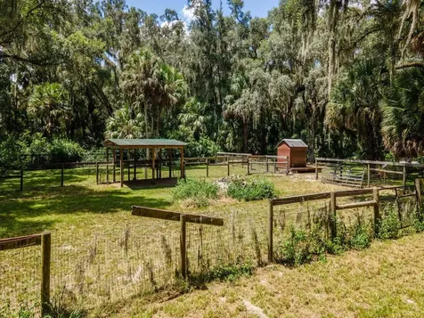 4645 NE 159th Place Citra FL 32113