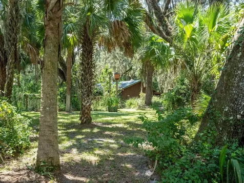 4645 NE 159th Place Citra FL 32113
