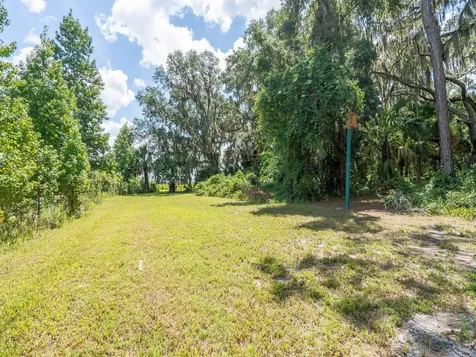 4645 NE 159th Place Citra FL 32113