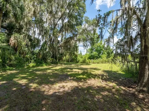 4645 NE 159th Place Citra FL 32113