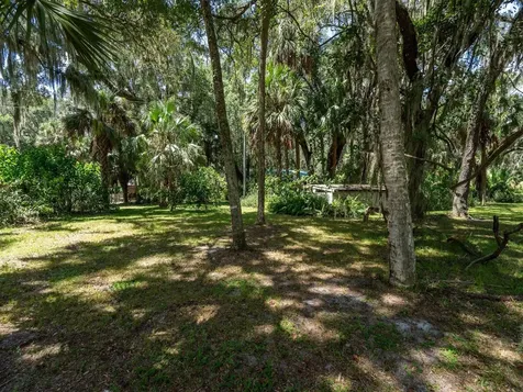 4645 NE 159th Place Citra FL 32113