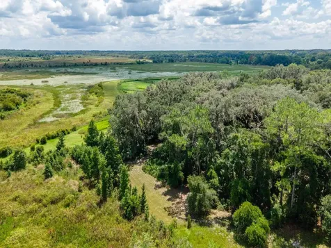 4645 NE 159th Place Citra FL 32113