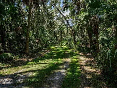 4645 NE 159th Place Citra FL 32113