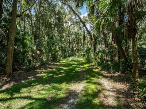 4645 NE 159th Place Citra FL 32113