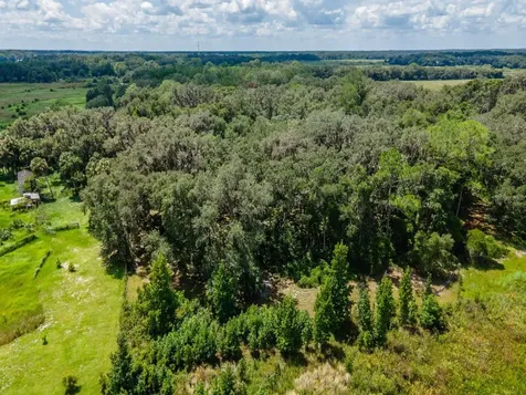 4645 NE 159th Place Citra FL 32113