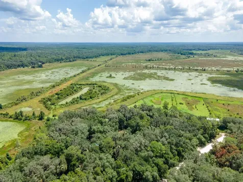 4645 NE 159th Place Citra FL 32113