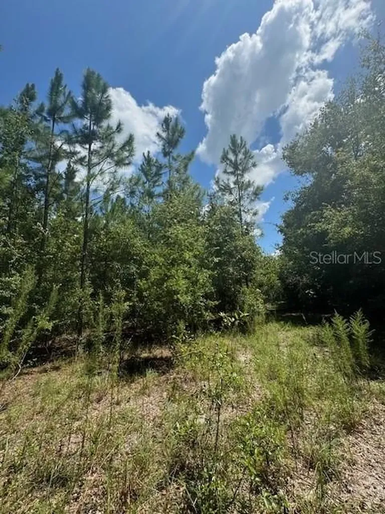 SW Coles Court Fort White FL 32038