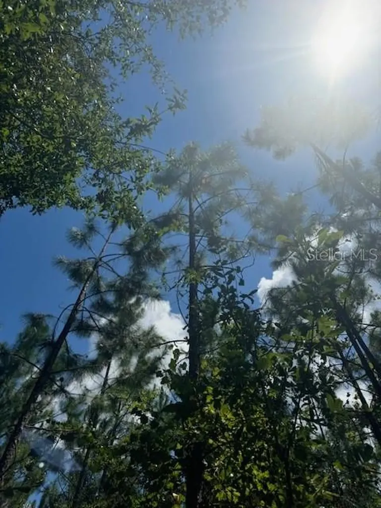SW Coles Court Fort White FL 32038