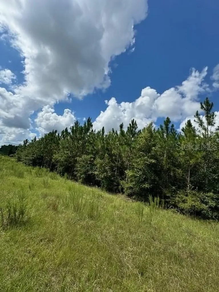 SW Coles Court Fort White FL 32038