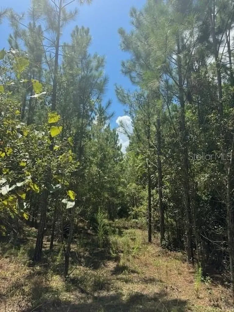 SW Coles Court Fort White FL 32038