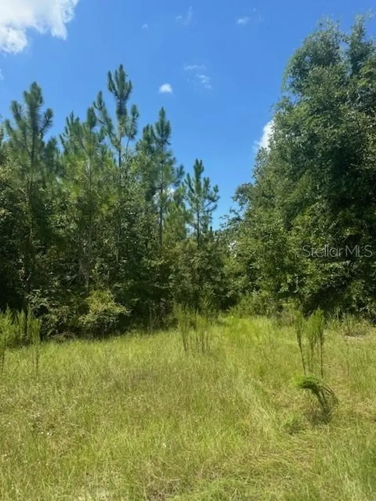 SW Coles Court Fort White FL 32038