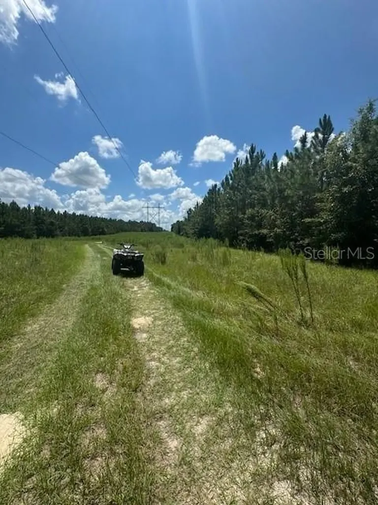 SW Coles Court Fort White FL 32038