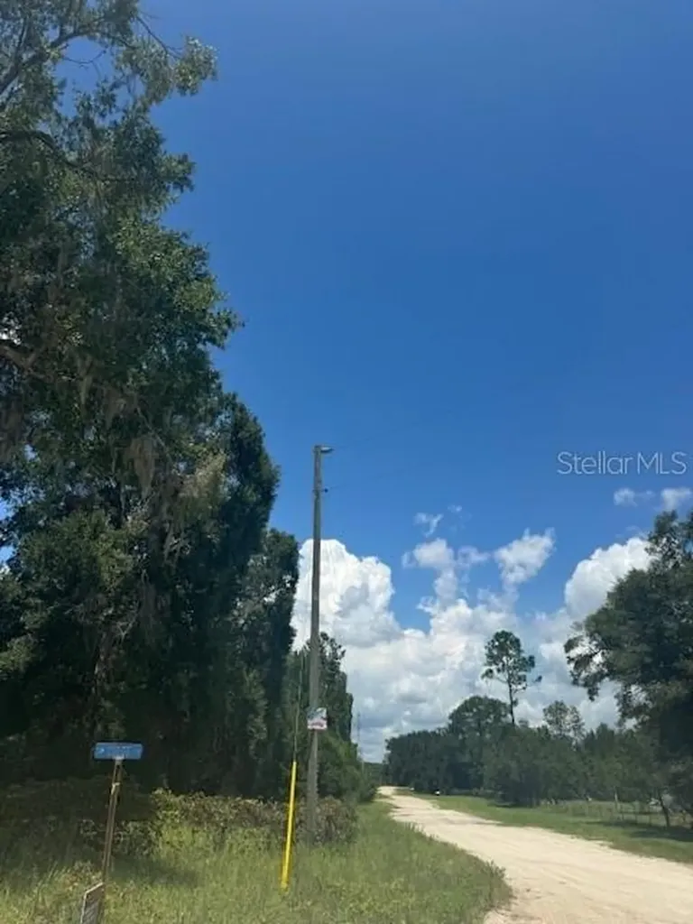 SW Coles Court Fort White FL 32038