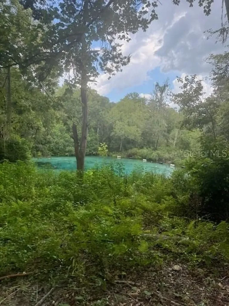 SW Coles Court Fort White FL 32038