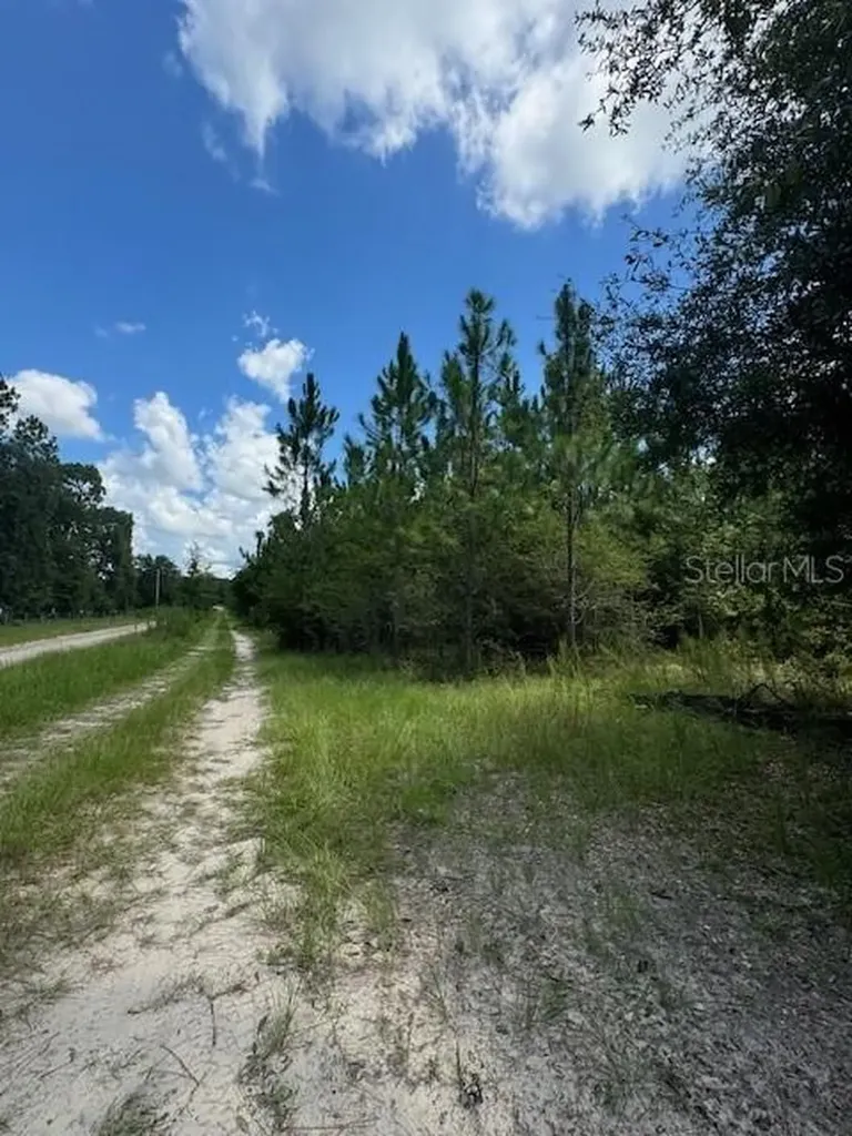 SW Coles Court Fort White FL 32038