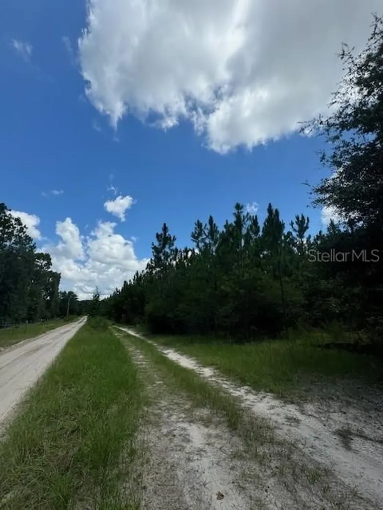 SW Coles Court Fort White FL 32038