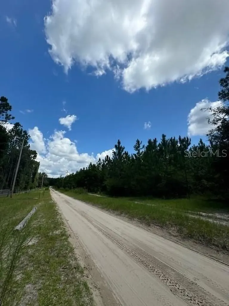 SW Coles Court Fort White FL 32038