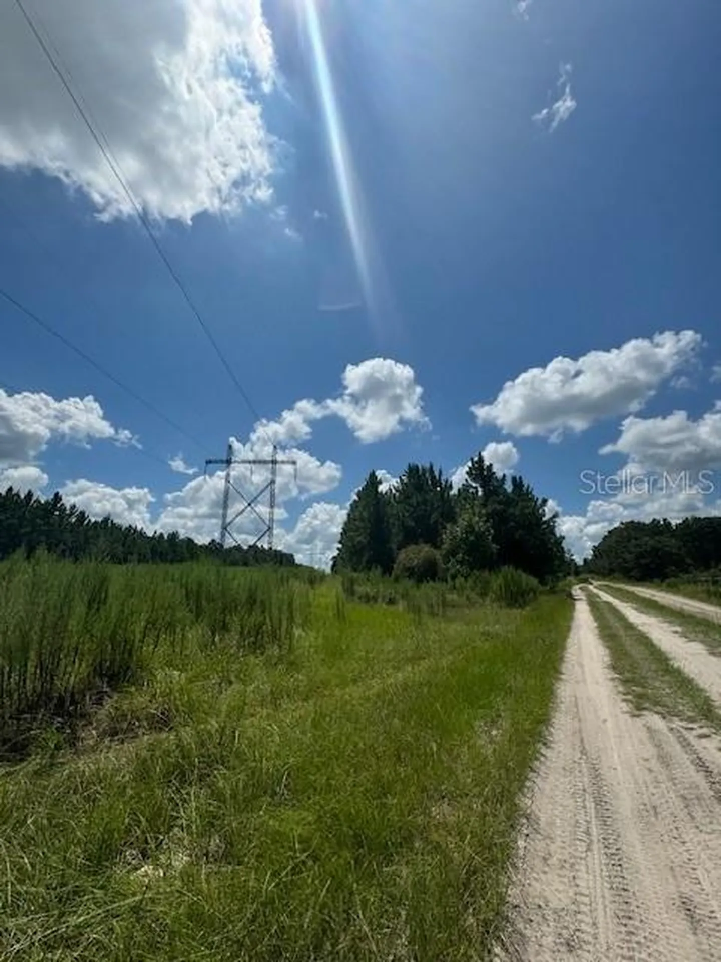 SW Coles Court Fort White FL 32038
