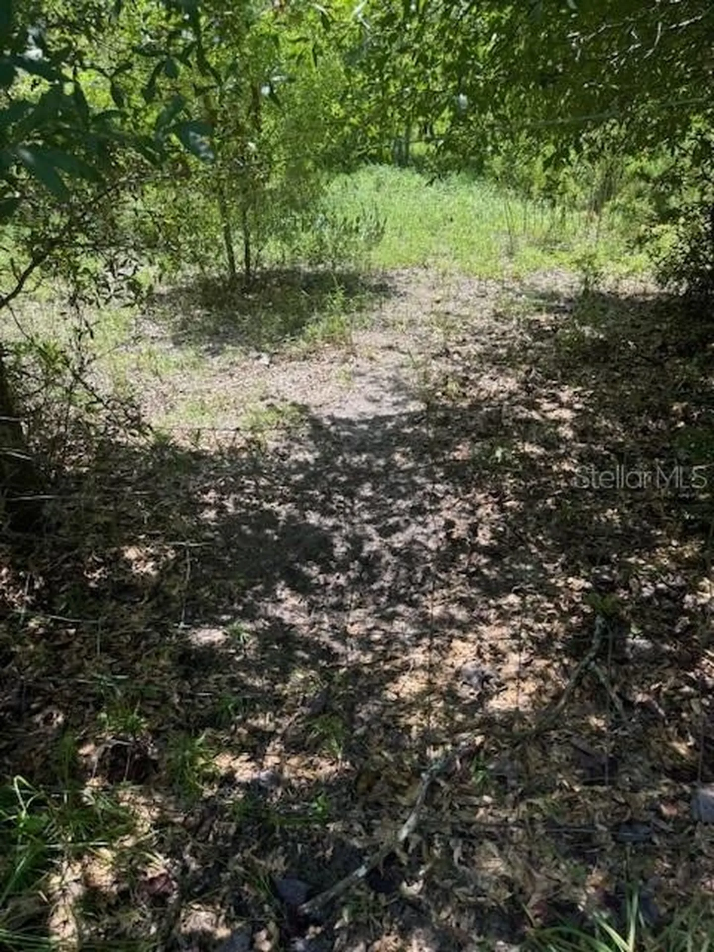 SW Coles Court Fort White FL 32038