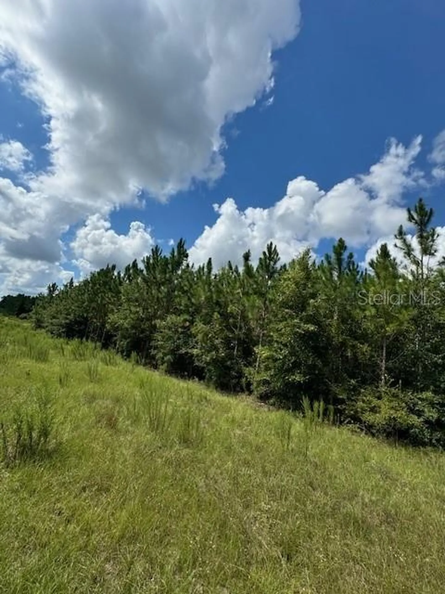 SW Coles Court Fort White FL 32038
