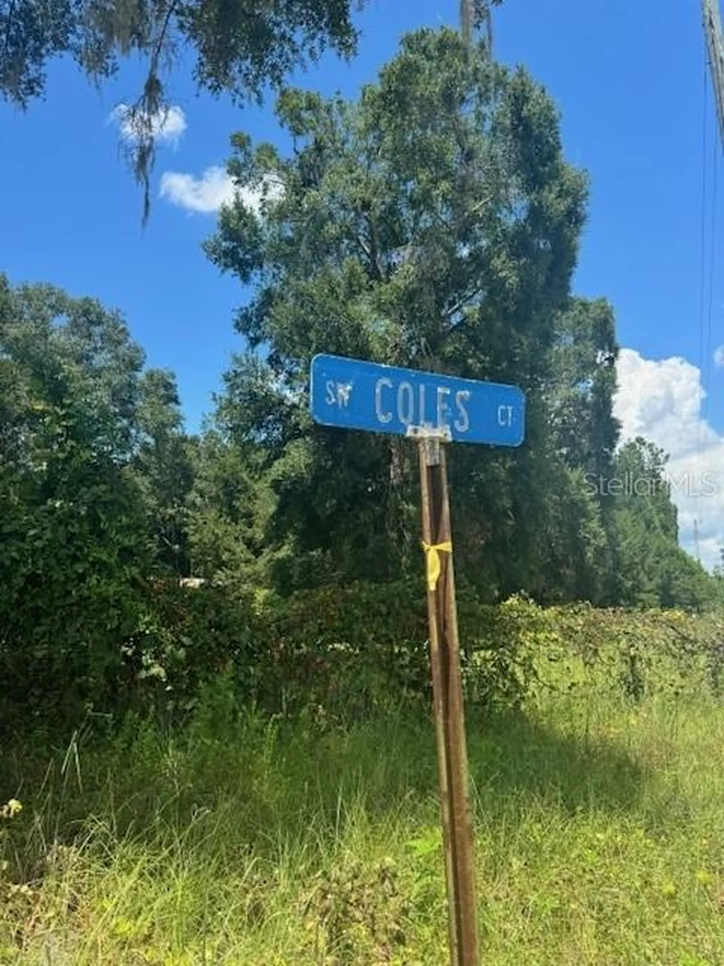 SW Coles Court Fort White FL 32038