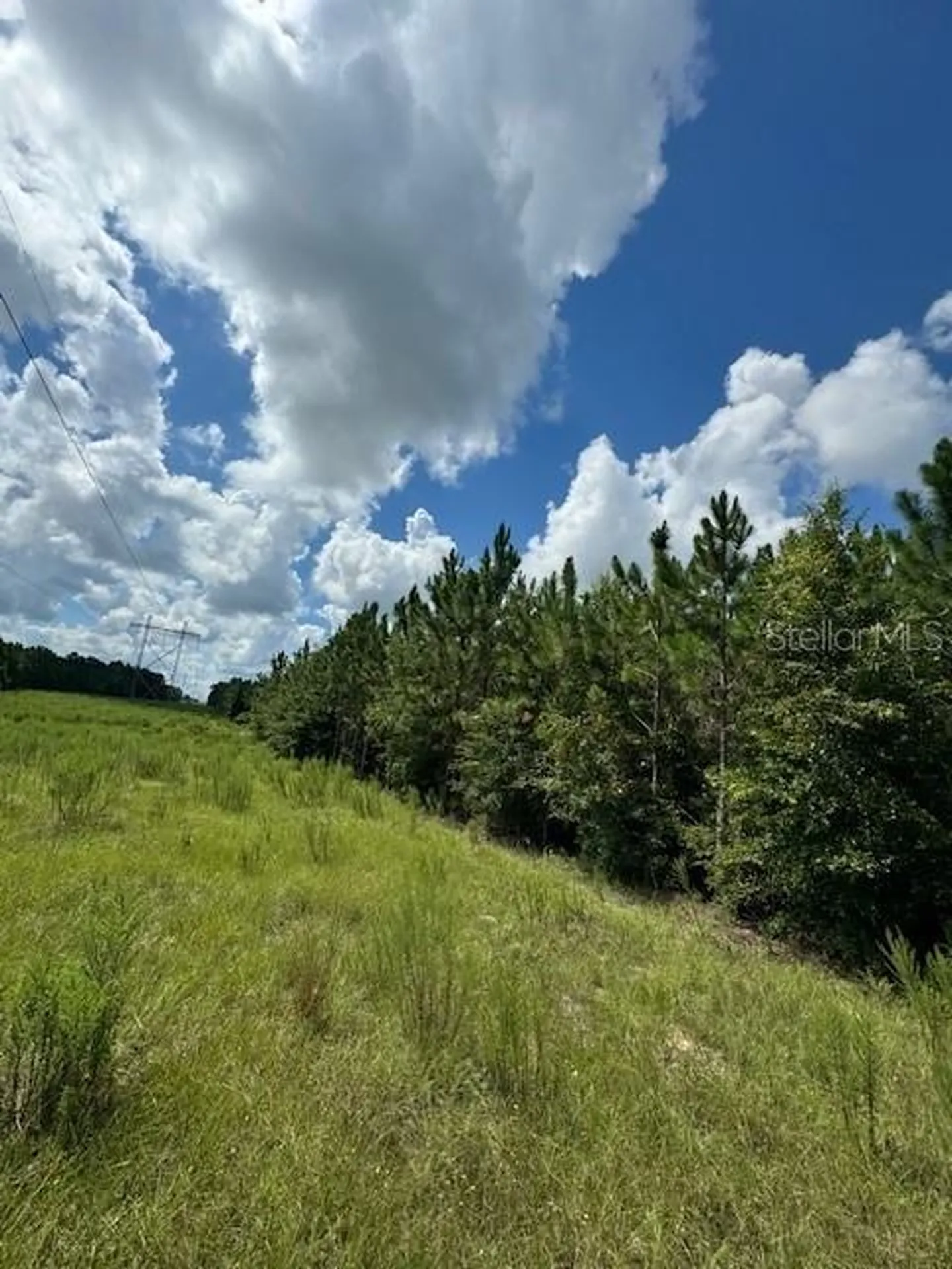 SW Coles Court Fort White FL 32038