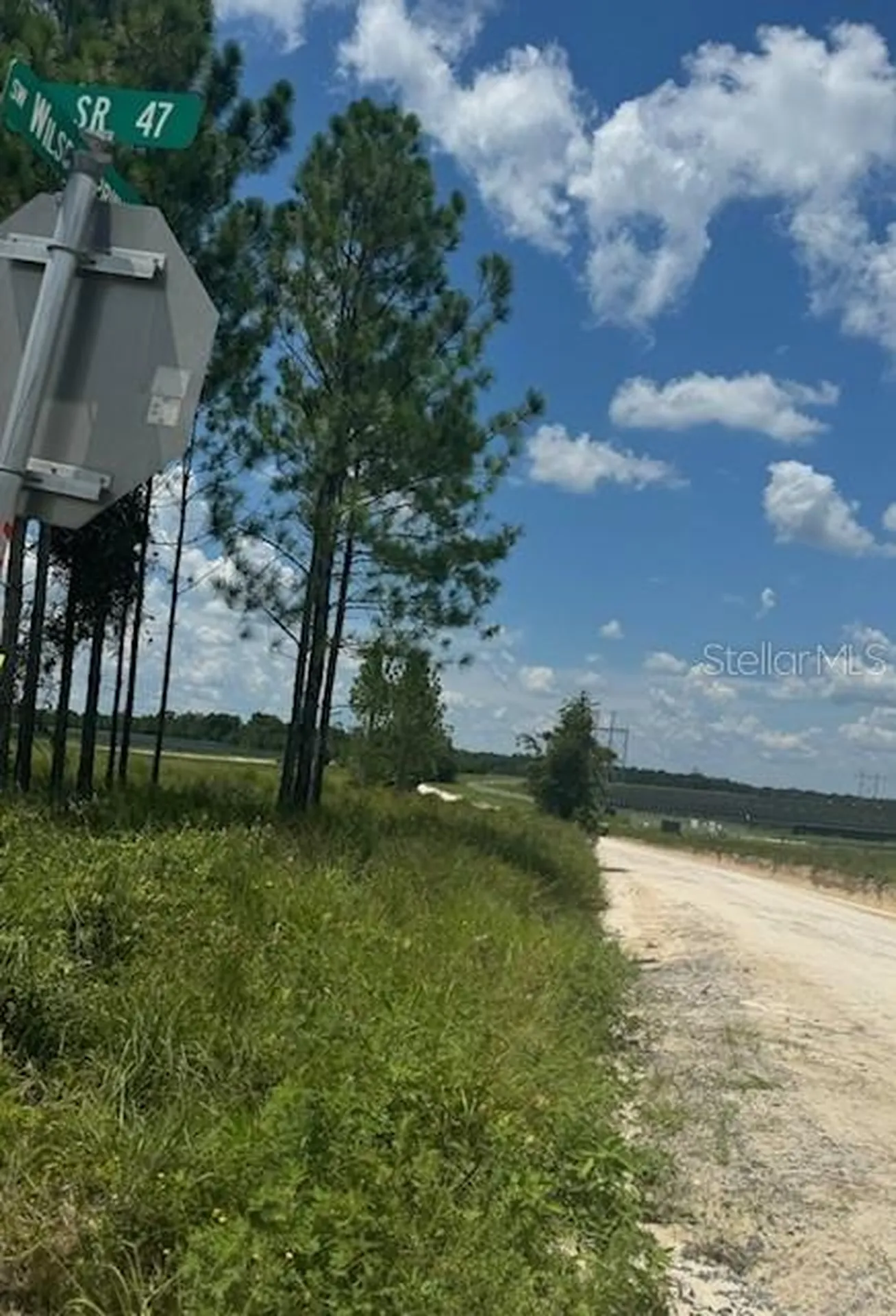 SW Coles Court Fort White FL 32038