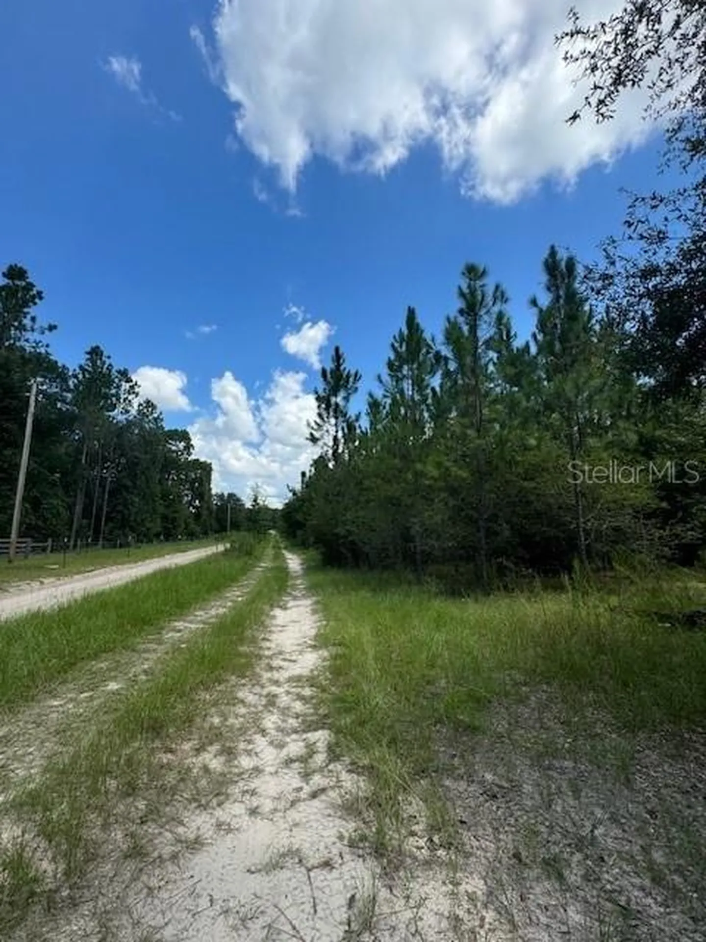 SW Coles Court Fort White FL 32038