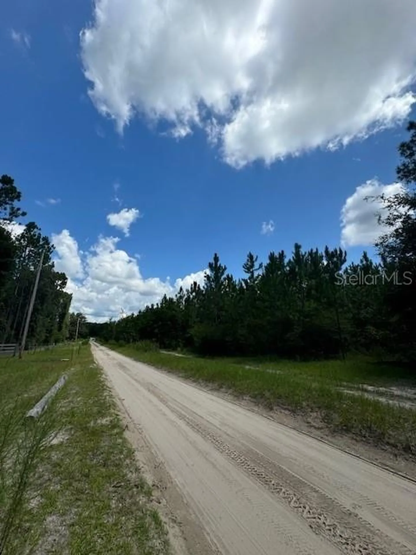 SW Coles Court Fort White FL 32038
