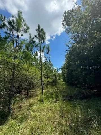 SW Coles Court Fort White FL 32038