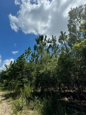 SW Coles Court Fort White FL 32038