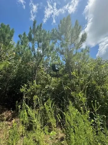 SW Coles Court Fort White FL 32038
