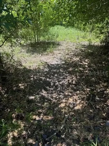 SW Coles Court Fort White FL 32038