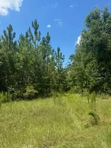 SW Coles Court Fort White FL 32038