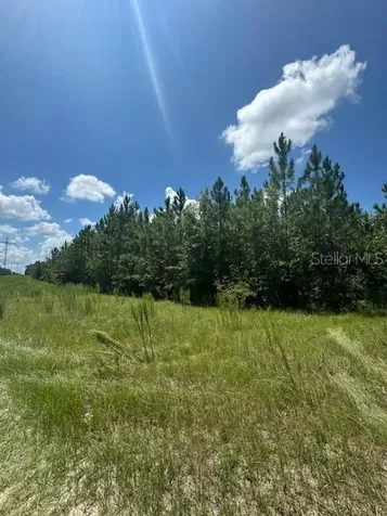 SW Coles Court Fort White FL 32038