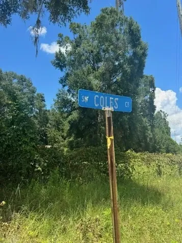 SW Coles Court Fort White FL 32038
