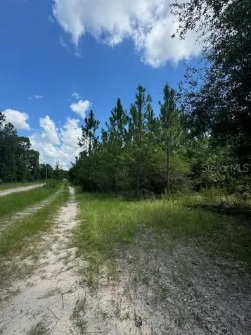 SW Coles Court Fort White FL 32038