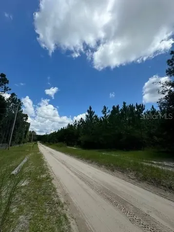 SW Coles Court Fort White FL 32038