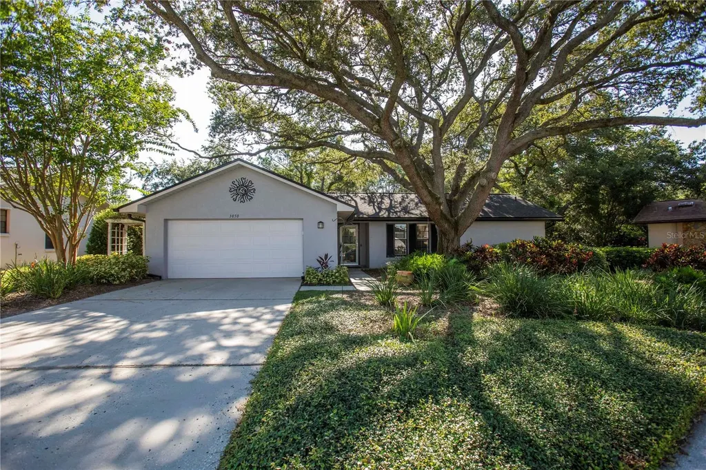 3050 Glenwood Court Safety Harbor FL 34695