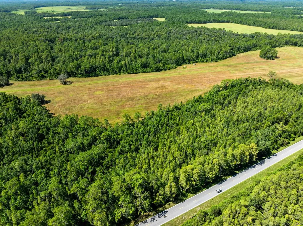 Deen Still Road Polk City FL 33868