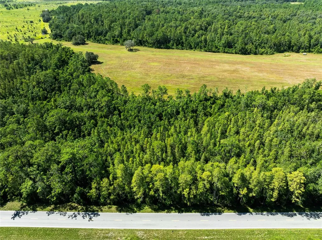 Deen Still Road Polk City FL 33868