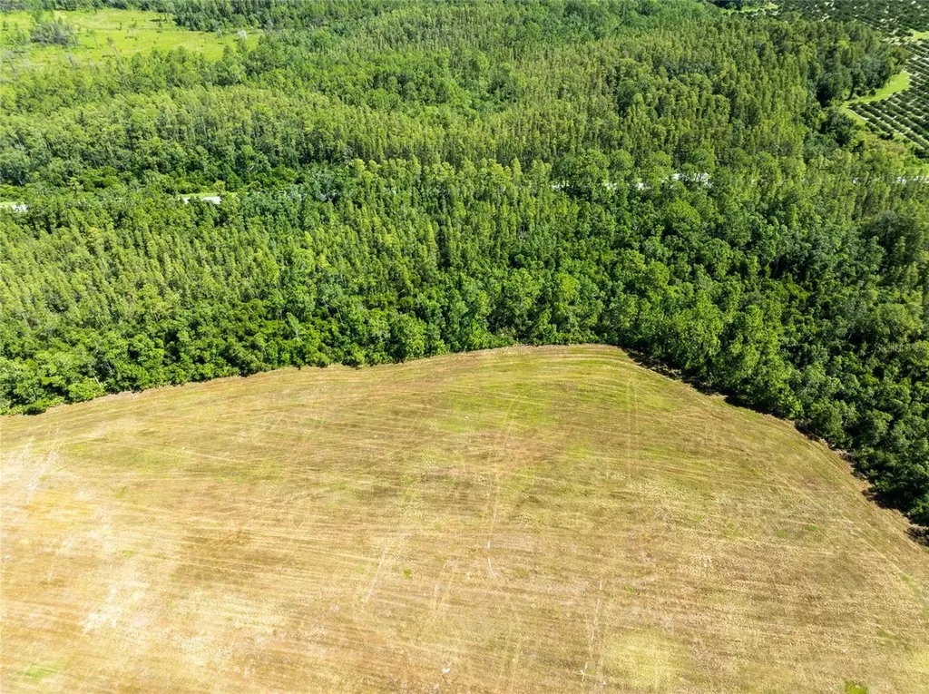 Deen Still Road Polk City FL 33868