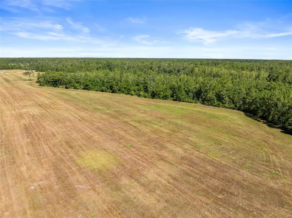 Deen Still Road Polk City FL 33868