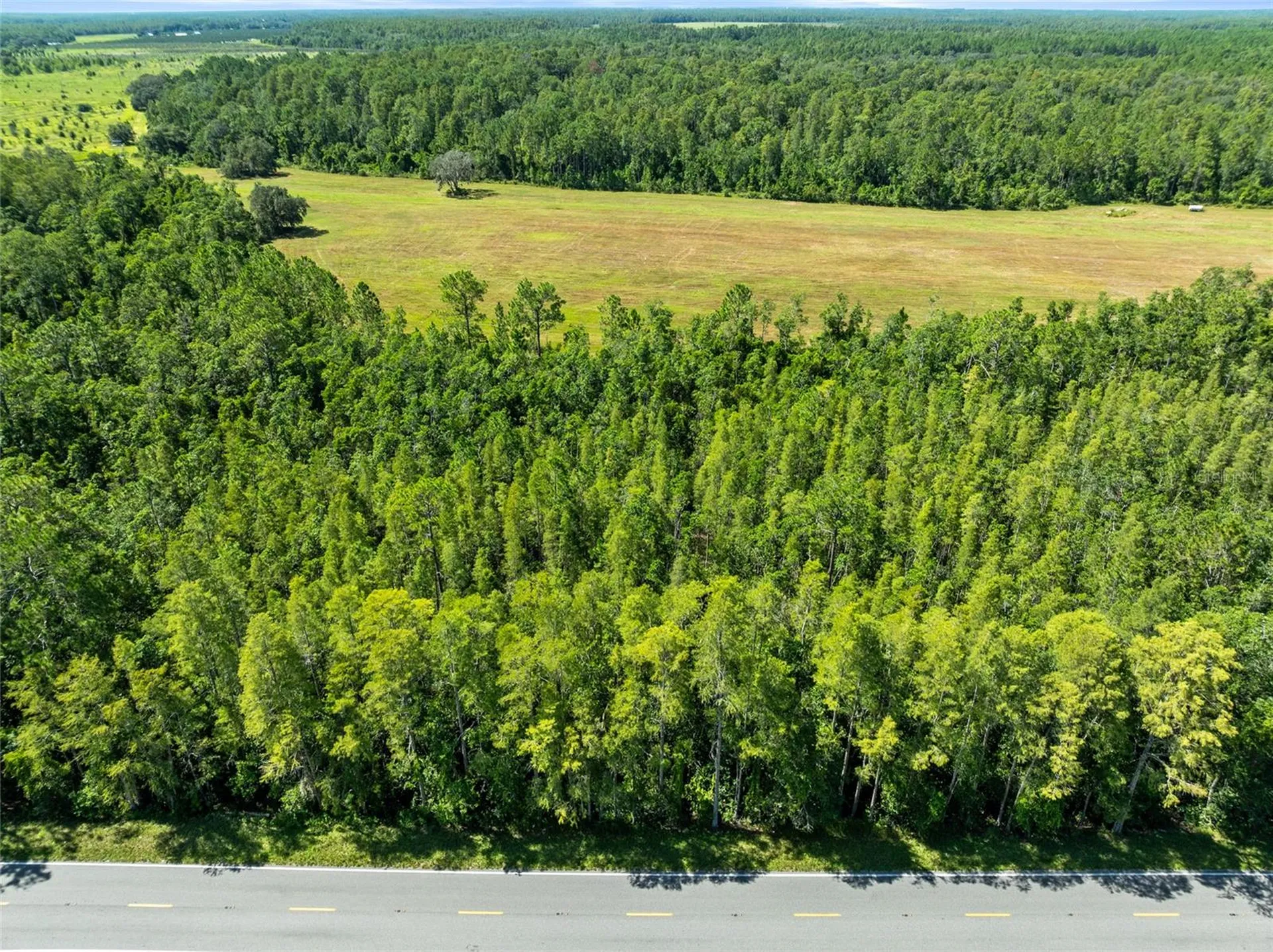 Deen Still Road Polk City FL 33868