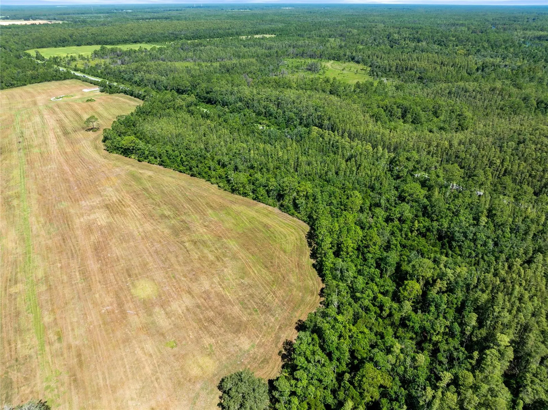 Deen Still Road Polk City FL 33868