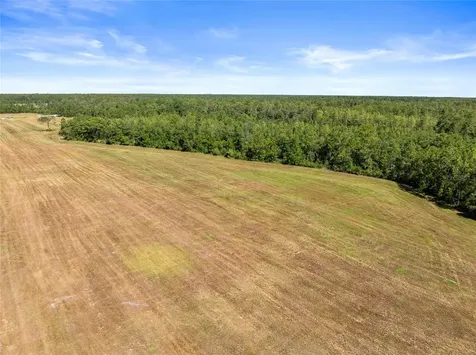 Deen Still Road Polk City FL 33868