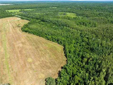 Deen Still Road Polk City FL 33868