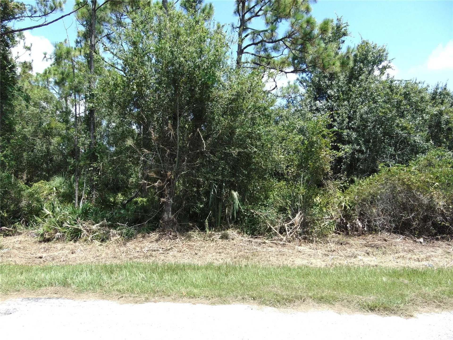 23376 Corinne Avenue Port Charlotte FL 33980