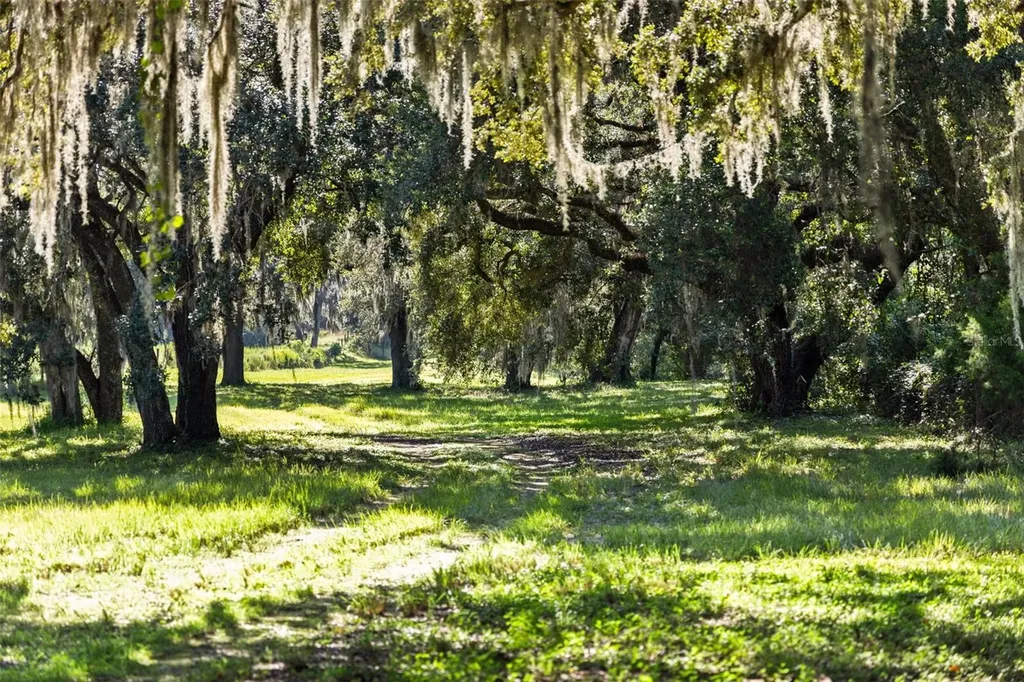 14765 Us Highway 41 Spring Hill FL 34610