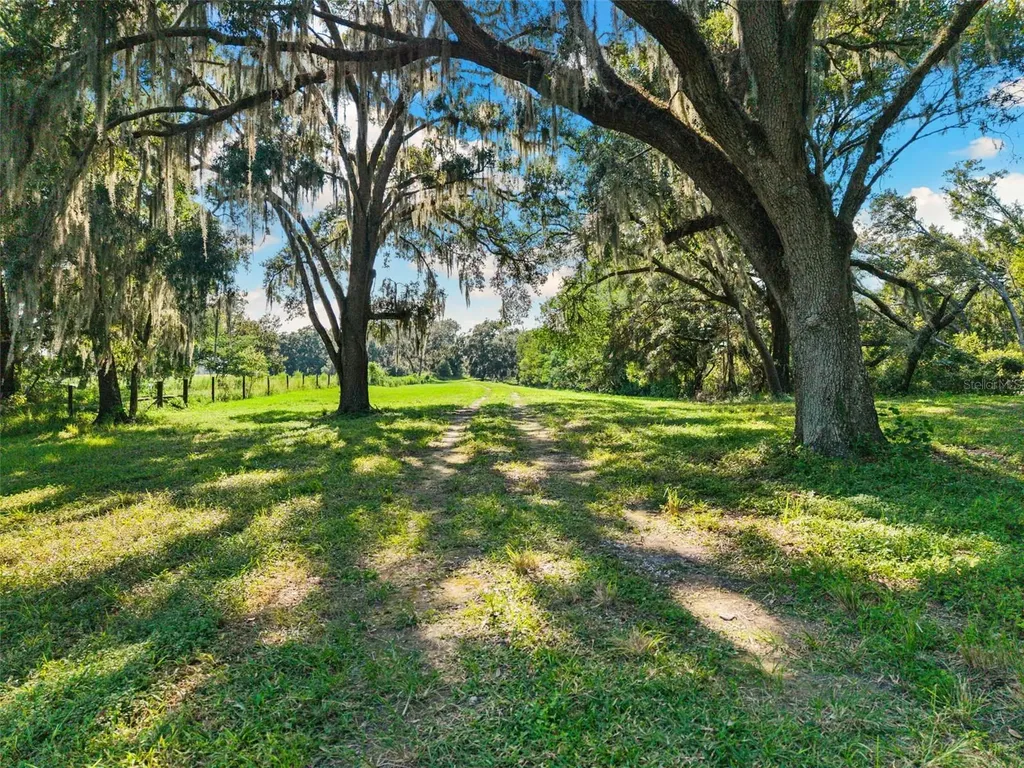 14765 Us Highway 41 Spring Hill FL 34610
